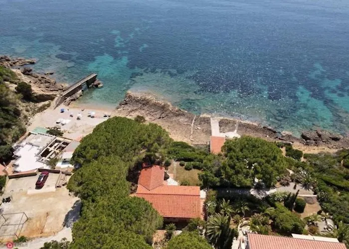 Galatea Stella Marina *