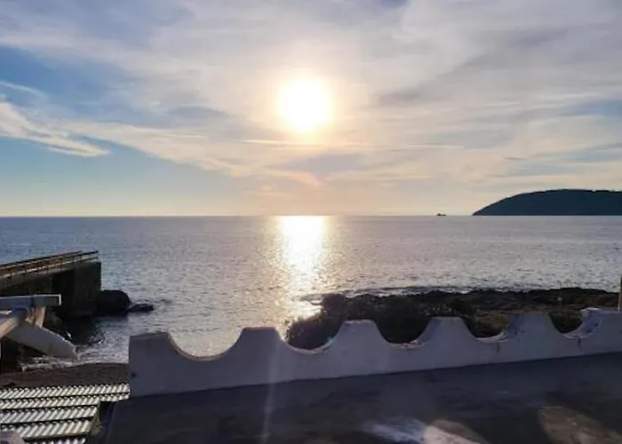 Galatea Stella Marina * Каполивери